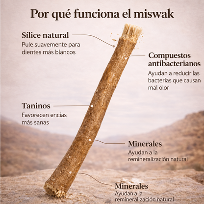 Bevalora® Cepillo de Dientes Miswak Ancestral