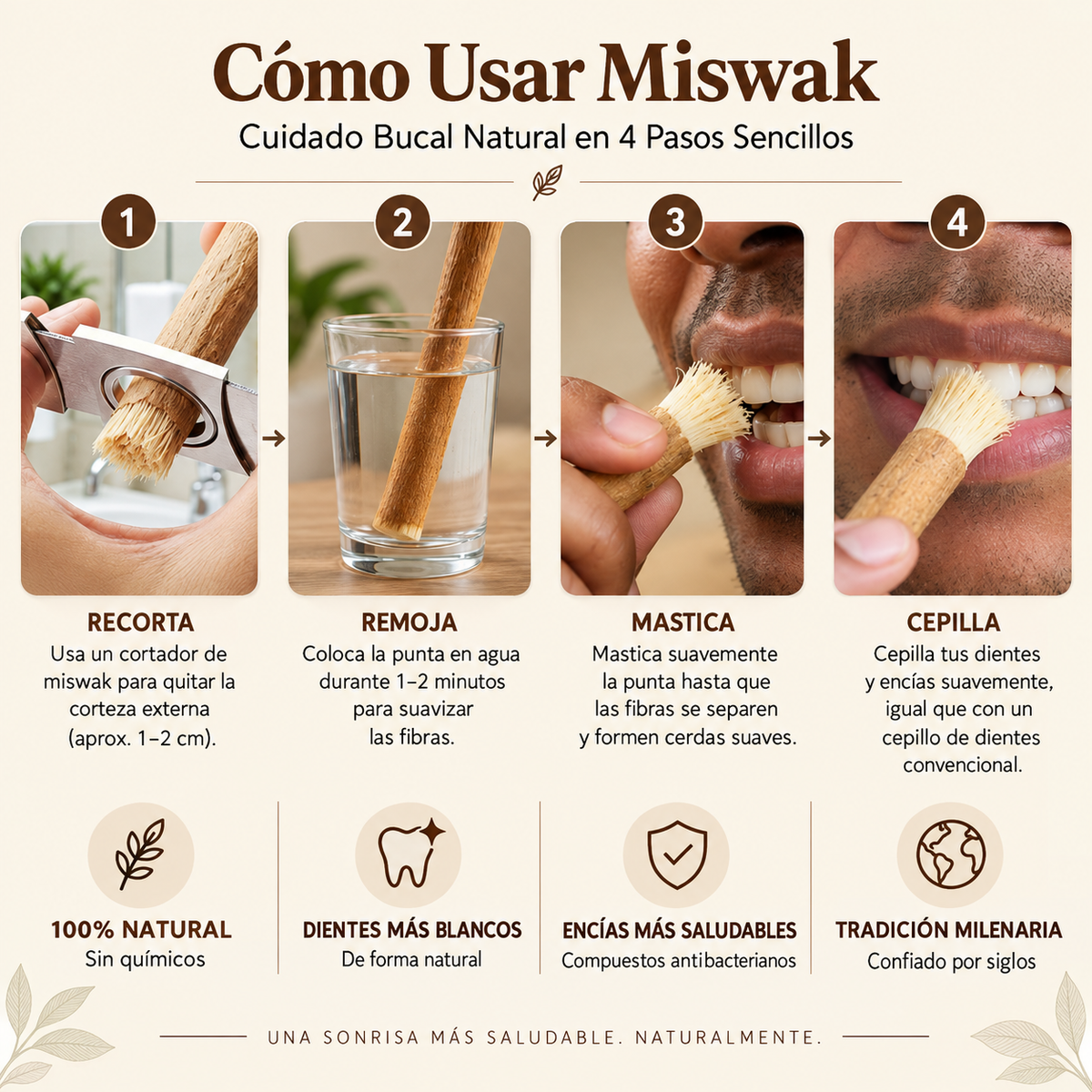 Bevalora® Cepillo de Dientes Miswak Ancestral