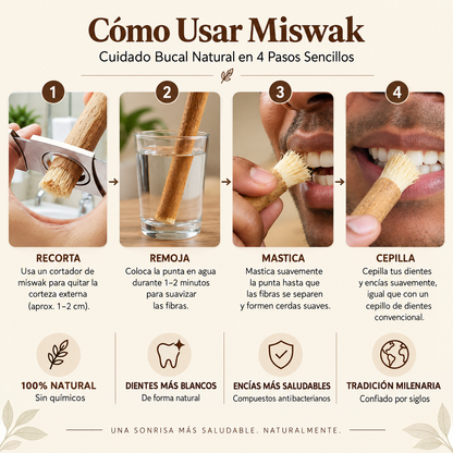 Bevalora® Cepillo de Dientes Miswak Ancestral