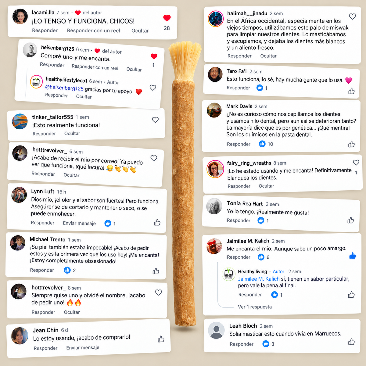 Bevalora® Cepillo de Dientes Miswak Ancestral