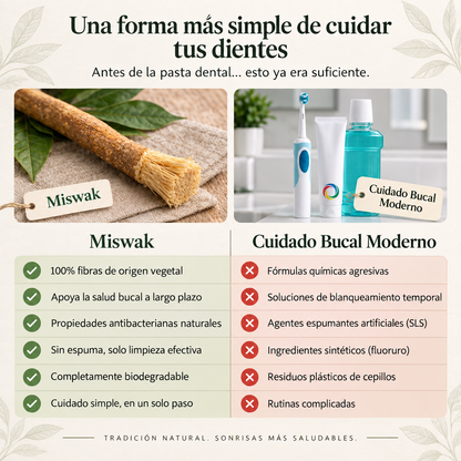 Bevalora® Cepillo de Dientes Miswak Ancestral