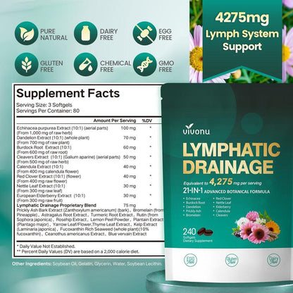 Bevalora® Drainage Lymphatique