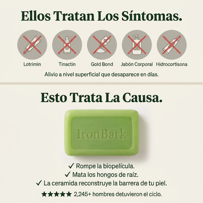 Bevalora® Jabón de Árbol de Té y Eucalipto Ironbark — Equilibrio Natural de la Piel